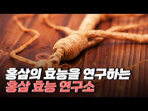 [핫클립] 홍삼을 섭취한 후 안전성을 연구하는 홍삼 효능 연구소