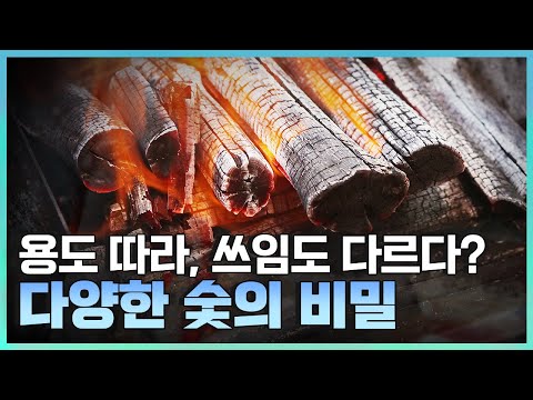 [기술자들] 그동안 알지 못했던 특별한 나무 기술자들