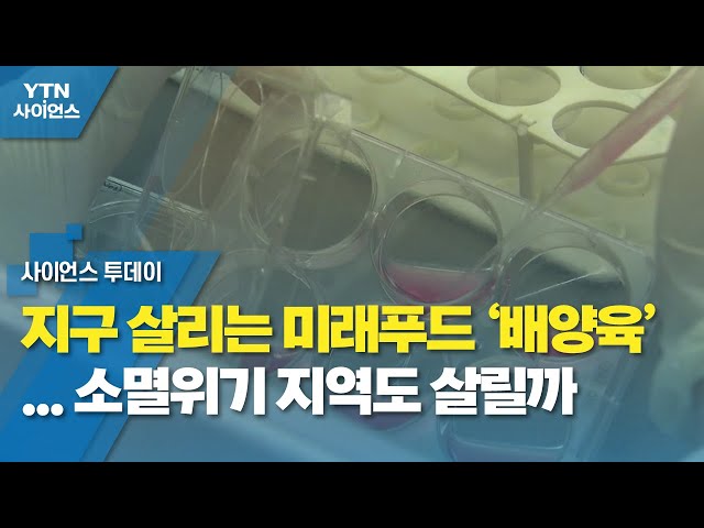 [NEWS] 지구 살리는 미래 푸드 '배양육'...쇠락한 지역도 살릴까