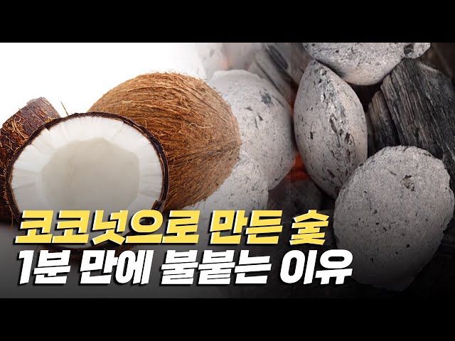 [핫클립] 1분 만에 착화가 되는 코코넛으로 만든 숯