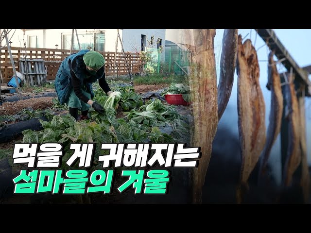 [핫클립] 무의도 주민들의 겨우살이 준비