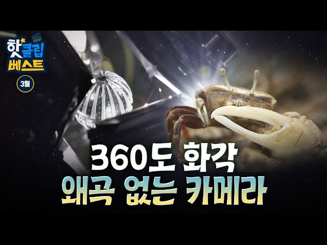 [핫클립베스트] 농게 겹눈 구조 모방한 수륙양용 카메라 기술