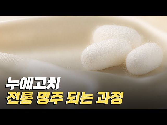 [핫클립] 실마리를 찾아서 - 누에고치로 전통 명주를 만들다