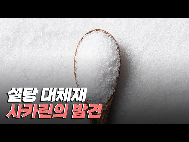 [핫클립] 설탕 대체재 사카린은 어떻게 발견되었을까?