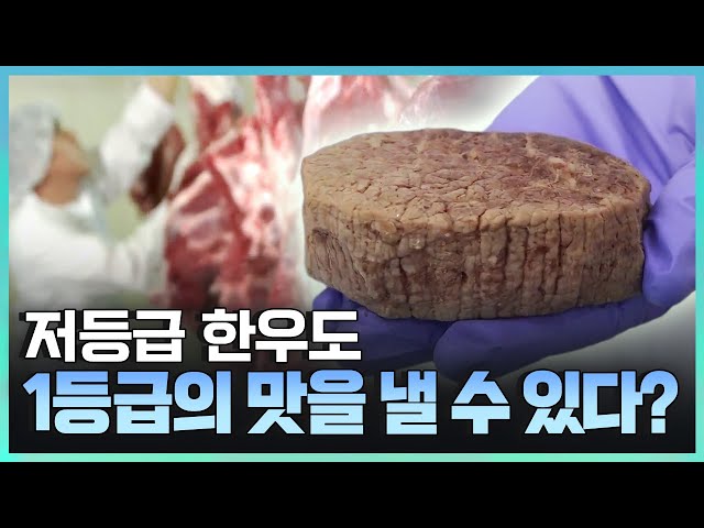 [기술자들] 남다른 아이디어로 격을 높인 기술