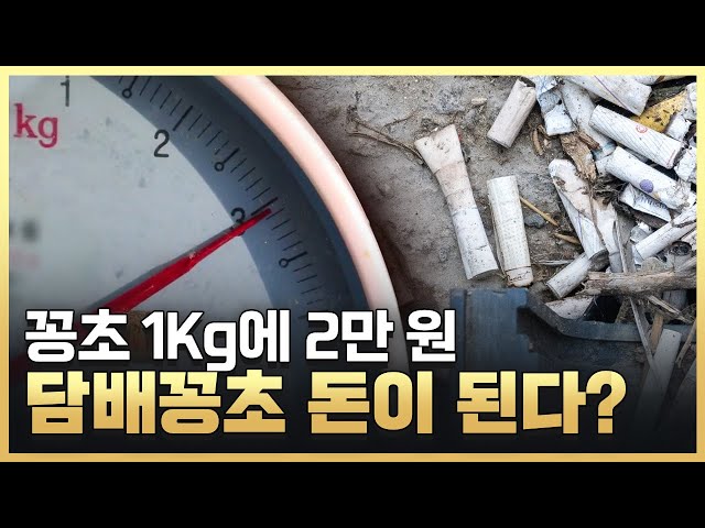 [황금나침반] 쓰레기가 돈이 된다? 알면 쓸모 있는 다양한 정보!