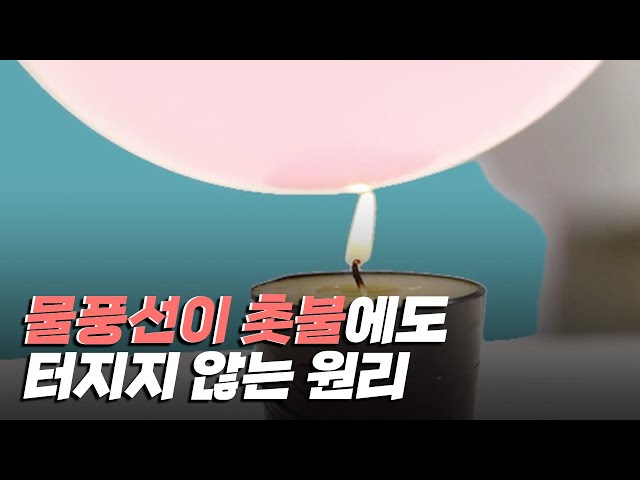 [핫클립] 물풍선이 초에 터지지 않는 원리