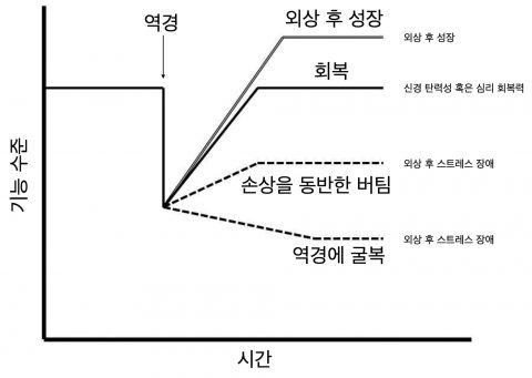 외상 후 성장(Post-Traumatic Growth)의 한계점