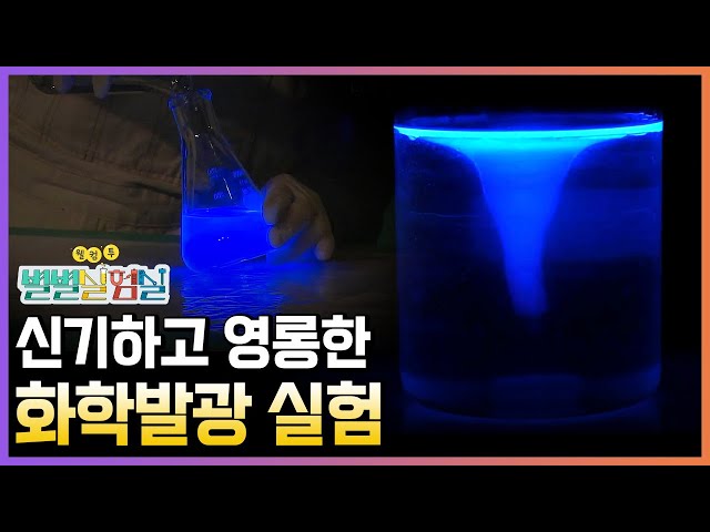 정디슨 도전!! 과학수사팀이 사용하는 루미놀 용액 실험부터 화학발광 토네이도 만들기⚗️