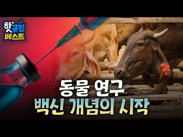 [핫클립베스트] 여러 동물을 이용한 백신 개발