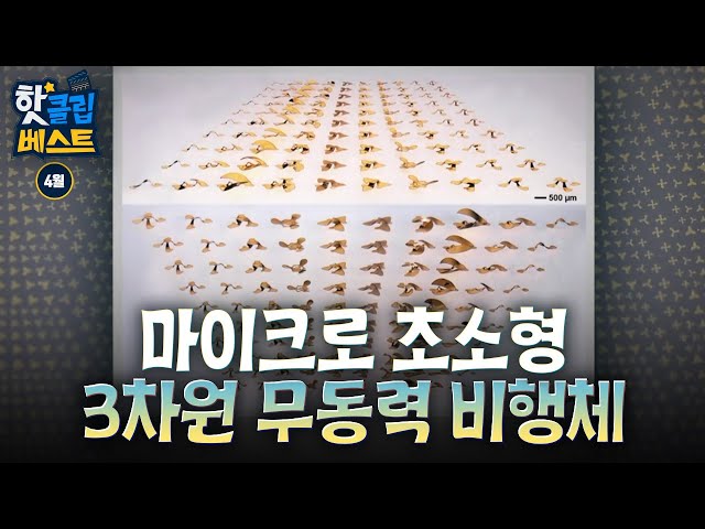 [핫클립베스트] 3차원 무동력 비행체를 만드는 과정