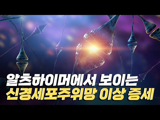 [핫클립] 신경세포주위망 - 가소성 변화는 어떻게 일어날까?