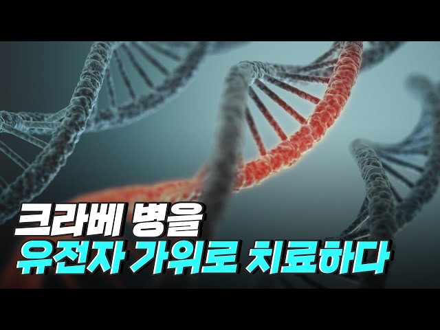 [핫클립] 희귀난치성 질환, 유전자 가위로 치료하다