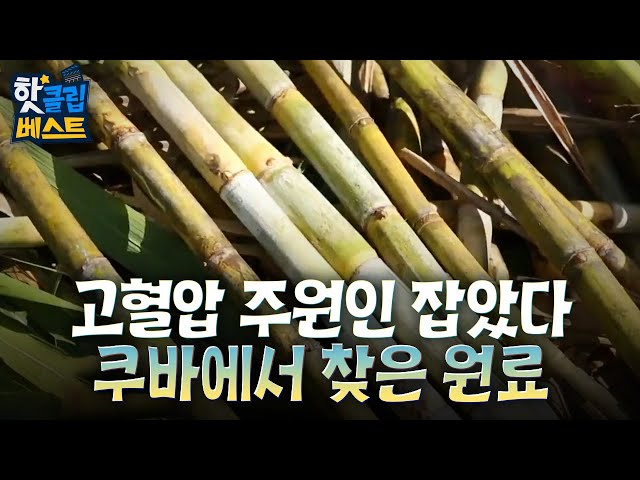 [핫클립베스트] 폴리코사놀-사탕수수왁스알코올, 건강에 이로운 원료