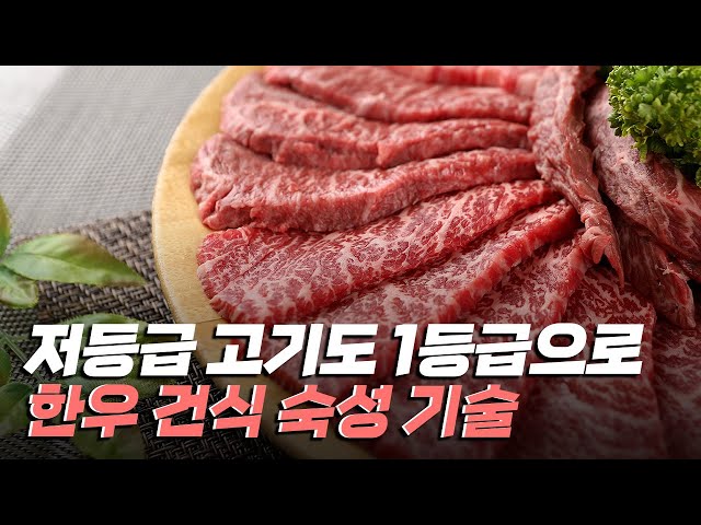 [핫클립] 저등급도 1등급 맛을 내는 한우 건식 숙성 기술