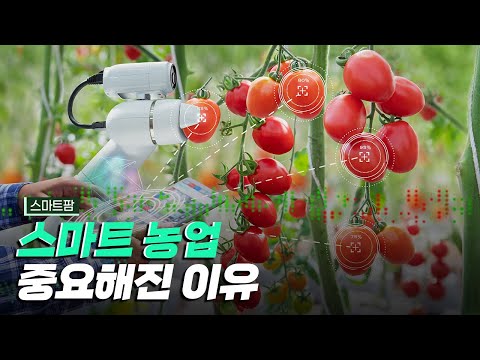 [핫클립] 스마트 농업이 중요한 이유