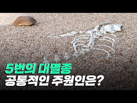 [핫클립] 지구의 5차 대멸종의 공통적인 원인은 무엇일까?