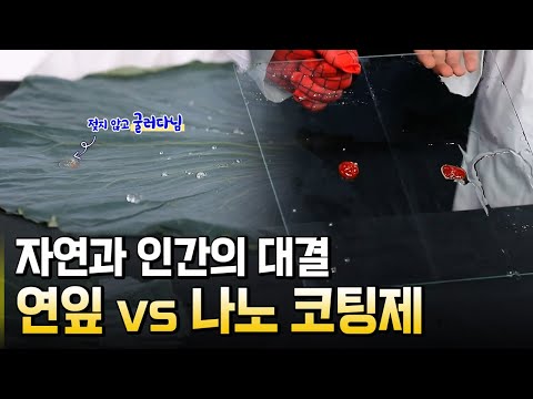 생체모방기술을 활용한 자연모방과의 대결! / 별별실험실