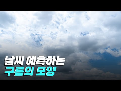 [핫클립] 구름은 어떻게 분류할까?