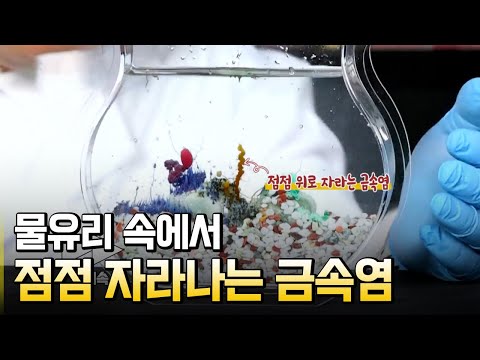 삼투압 화학 정원 만들기 / 별별실험실