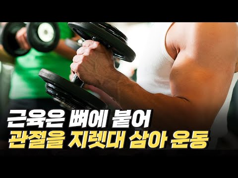 [핫클립] 근육과 관절의 상호작용