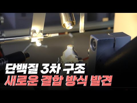 [핫클립] 단백질의 3차 구조를 밝히는 X선 회절법