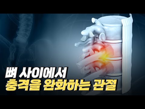 [핫클립] 관절로 이루어져 있는 몸