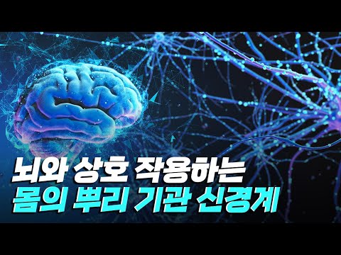 [핫클립] 전체적인 시각으로 신경계를 이해하다