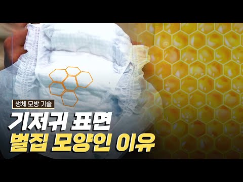 [핫클립] 기저귀에 숨은 생체 모방 기술