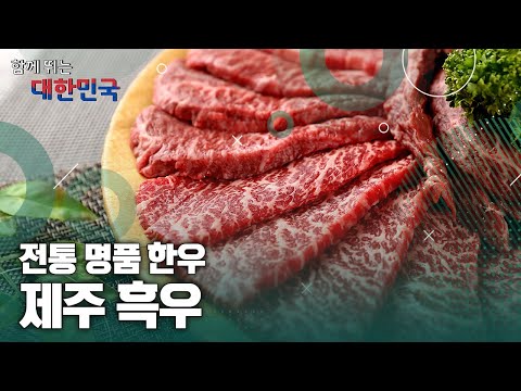 함께 뛰는 대한민국 – 제주흑우