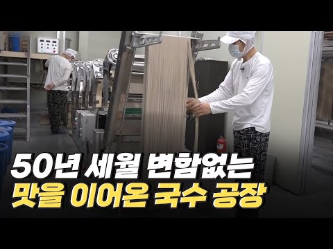 [핫클립] 50년 명맥을 잇는 국수 제조 공정