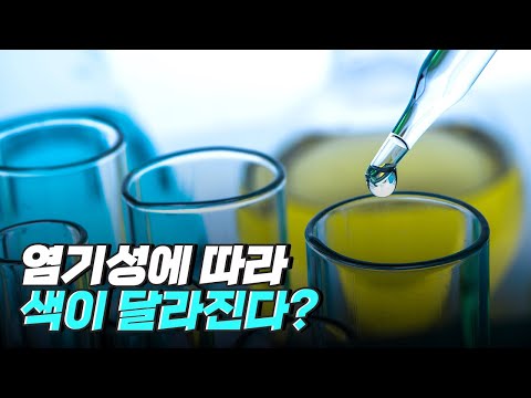 [핫클립] 산성과 염기성의 성질을 이용한 과학 실험