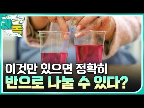 [과톡] 금쪽이를 위한 과학실험!