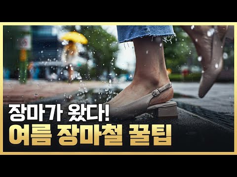 [황금나침반] 2023 장마의 모든 것!