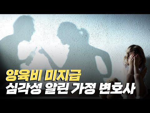 [핫클립] 양육비를 위해 전사가 된 변호사