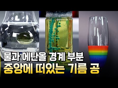 밀도 차를 이용한 신기한 실험 / 별별실험실