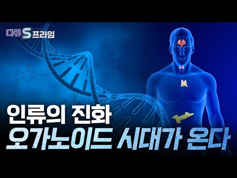 [다큐S프라임 오리지널] 차세대 바이오 핵심 기술, 오가노이드 .. 국내 오가노이드 기술력은?