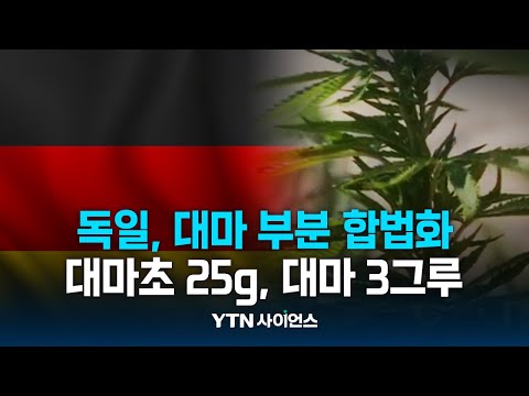 독일 대마초 부분 합법화...