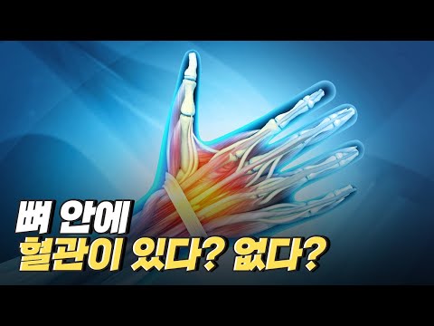 [핫클립] 긴밀하게 영향을 주고받는 뼈와 근육 /