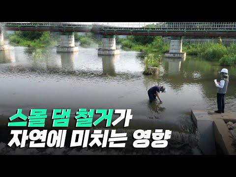 [핫클립] 스몰 댐을 철거하고 자연으로 되돌려주는 움직임