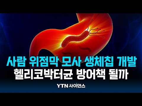 국내연구진, 사람 위점막 기능 본뜬 생체칩 개발