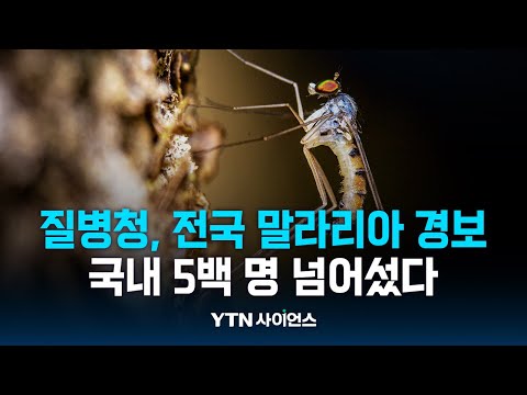 5백 명 넘은 말라리아 환자 ... 9월까지 조심해야