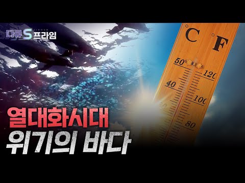 [다큐S프라임] 해양 환경 보호와 지속 가능한 어업을 위한 제도와 노력