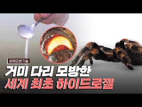 [핫클립] 거미의 점탄성 패드를 모방한 하이드로젤