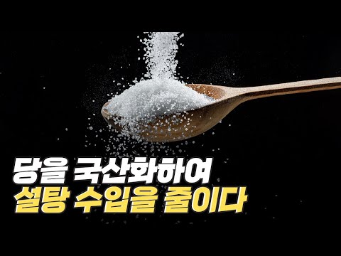 [핫클립] 식품 가공에 필요한 당 국산화 성공