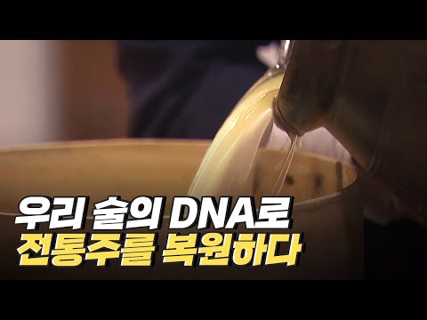 [핫클립] 누룩을 사용해서 복원한 전통주