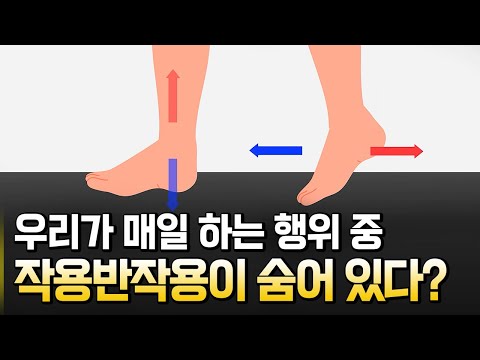 일상 속 작용반작용