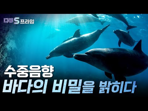 [다큐S프라임] 소리로 바다를 보는 수중음향 기술