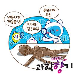 아이스맨(Iceman) 외치, 수십 년 만에 진짜 얼굴 찾다