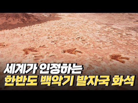 [핫클립] 세계적으로 인정받은 공룡 발자국 화석의 가치